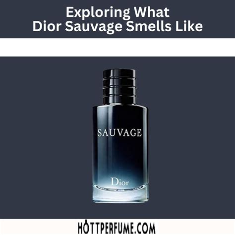 sauvage chanel|what smells like dior sauvage.